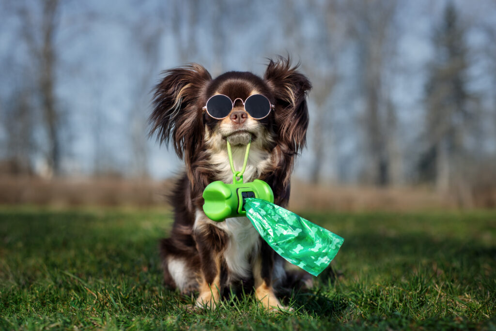 Frisco poop outlet bags