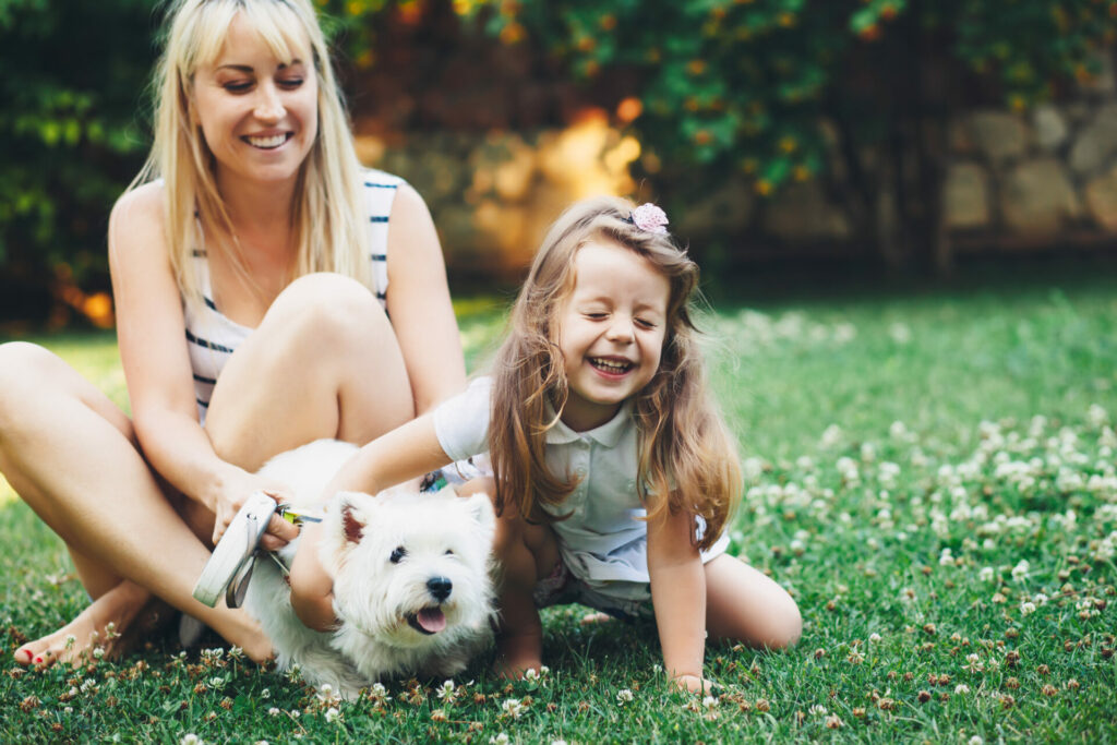 Top 5 Ways to Be a Responsible Fur Parent